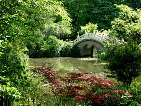 Der Zingelao-Pavillon - Eine Oase der Ruhe und eine Quelle kultureller Inspiration in Zhaotong!